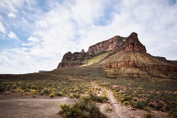 grand canyon trail