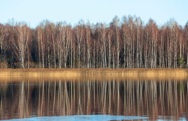 Melancholy landscape with reflection of trees in water