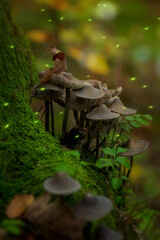 Magical forest with mushrooms in the moss and fireflies