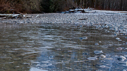 As the river begins to freeze, a thin sheet of ice starts to form and connect on top of the running water below
