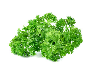 Parsley leaf or Petroselinum crispum leaves isolated on white background ,Green leaves pattern