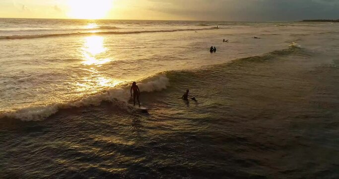 Aerial shot of surfers catching the waves at sunset
