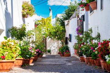 Traditional trulli houses in Alberobello, province Bari, region Puglia, Italy. Beautiful Italy,...
