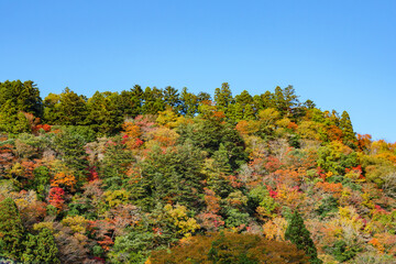 晴天の空と紅葉する山
