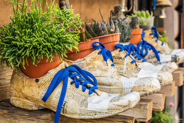 Shoe Pot