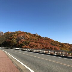 山梨県北杜市清里の美しい紅葉の風景