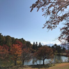 長野県富士見町の美しい紅葉の風景