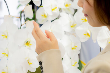 胡蝶蘭を鑑賞する女性【2020】