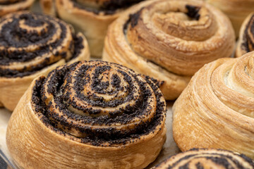 puff pastry with poppy seeds on a plate. close up view. various of a tasty pastry. homemade baking concept. background backdrop. studio shot
