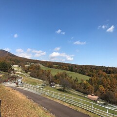 山梨県北杜市清里の秋の美しい風景