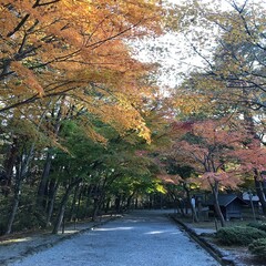 山梨県北杜市にある身曾岐神社の秋の風景
