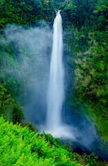 Fototapeta na wymiar Waterfall in Jungle