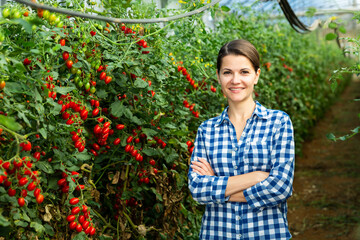 Female farmer puts red cherry tomatoes in plastic box for sale in the market