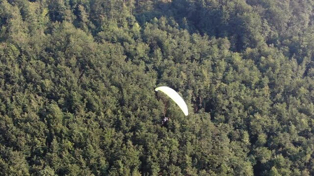 Aerial view of paragliding parachute flying above green mountain forest on sunny dummer day