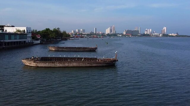 White Egret birds stood on old wooden skeleton hulls of SE Asian boats