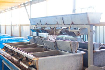 Fish egg hatchery. Baby eggs breeder for fish farms with tanks set for incubation of sturgeon roe caviar simulating waves