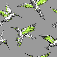Seamless pattern with hummingbirds. Summer textile print