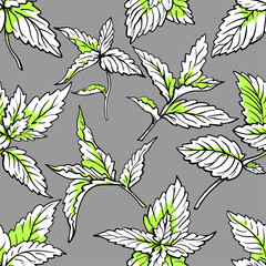 Seamless pattern with mint leaves. Summer textile print