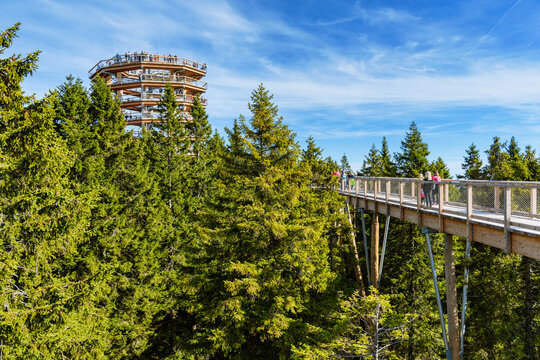 ROGLA, SLOVENIA - Oct 20, 2020: Wooden lookout tower amidst trees, forest.