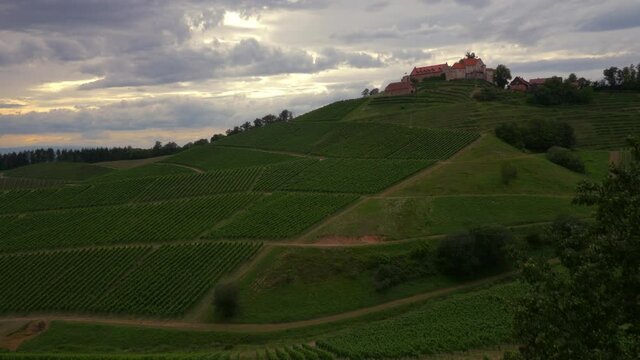 Panoramic View of Vineyards below Schloss Staufenberg