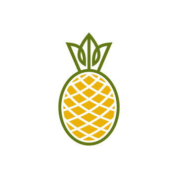 simple modern geometric pineapple vector icon