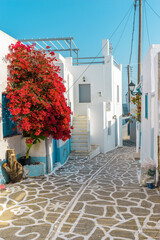 Traditional Cycladitic alley with narrow street, whitewashed houses and a blooming bougainvillea in Marpissa Paros island, Greece.