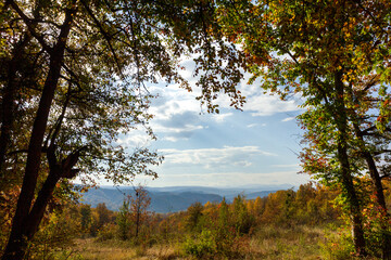Fototapeta premium Autumn forest Park in a mountainous area on a Sunny day.