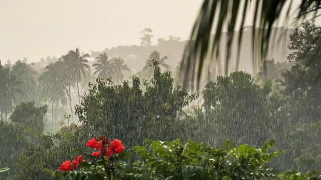Rainfall over palm trees, red flowers, sea and mountain on a tropical island. Slow motion. 