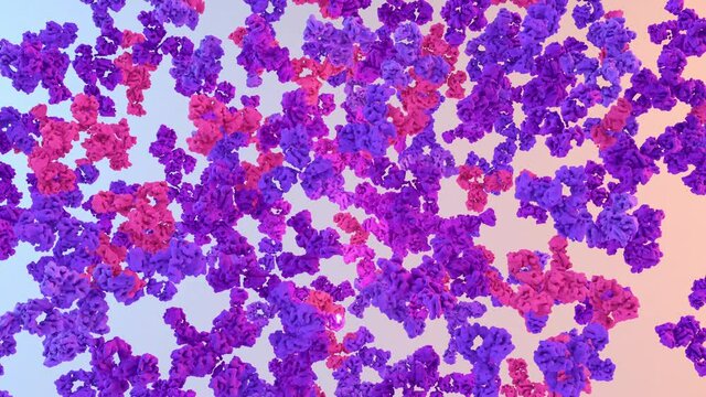 Antibody ready to fighting virus in the bodies