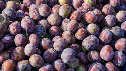 natural plums exposed on the stall to be sold and consumed by customers