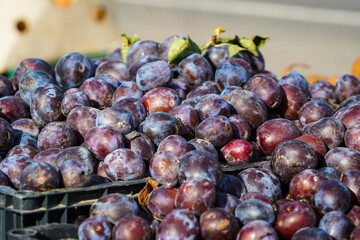 natural plums exposed on the stall to be sold and consumed by customers