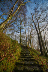 Portrait Stone stairs next to Loch Lomond in Scotland in winter season