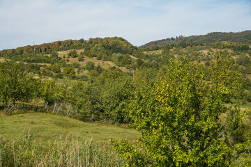 Fototapeta premium mountain landscape on green background in Slanic area, Romania