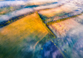 View from flying drone. Vivid colors morning scene of Ukrainian countryside with field of wheat. Aerial summer view of outskirts of Ternopil town, Ukraine, Europe.