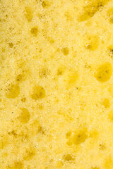 Macrophotography of yellow sponge texture close up view.