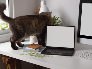 A cat walking on worktable with tablet, computer and supplies, clipping path