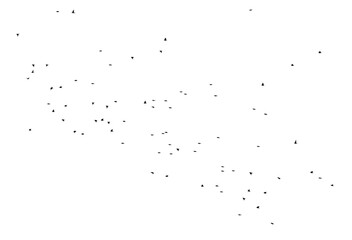 Flock of birds isolated on white background