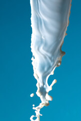 Splashes of white milk isolated on a blue background.