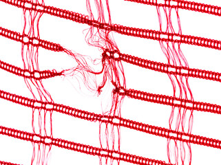 Torn red mesh isolated on white background.