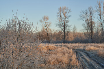 Breath of winter, first ice on the lake, dawn on a frosty morning with frost on the grass, close-up of frost, patterns on the first ice.