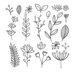 Autumn leaves and leaf elements. Black color line art.