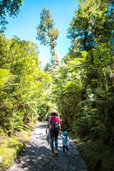 Obraz premium Travel with kids to New Zealand