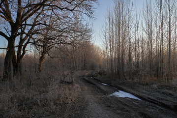 Breath of winter, first ice on the lake, dawn on a frosty morning with frost on the grass, close-up...
