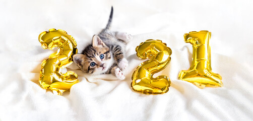 Christmas cat 2021. Kitty with gold foil balloons number 2021 new year. Striped kitten on Christmas...
