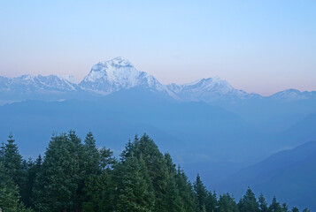 Nature Landscape Mt. Dhaulagiri massif with sunrise on himalaya rang mountain in the morning seen from Poon Hill, Nepal - Blue Nature view  background and Trekking - hikes to epic mountains