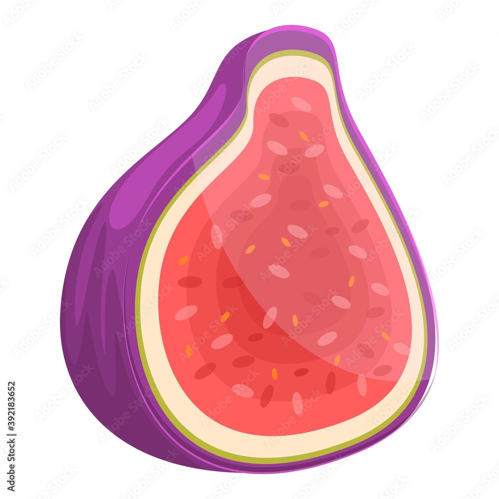 Poster diet fig icon. cartoon of diet fig vector icon for web design isolated on white background
