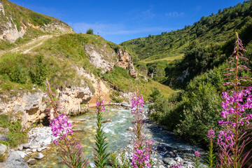 Doron river in Vanoise national Park valley, French alps