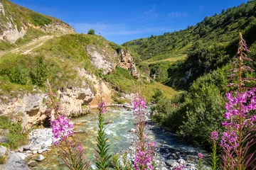 Fotobehang Doron river in Vanoise national Park valley, French alps © daboost