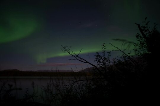 Aurora over Knik River, Alaska