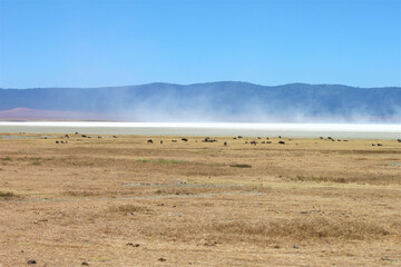 Amazing shot of the Salt Lake in Tanzania